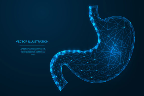 Download Stomach Low Polygonal Blue Wireframe - Polygonal Collection